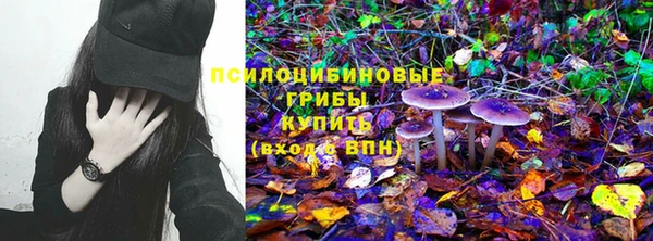 PSILOCYBIN Абинск