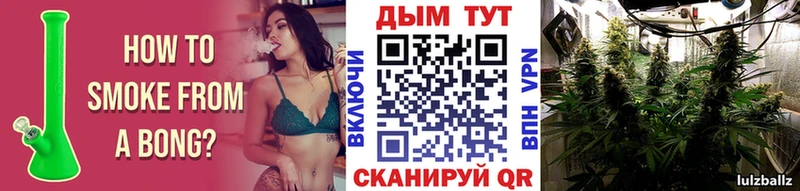 Бошки марихуана план Ржев